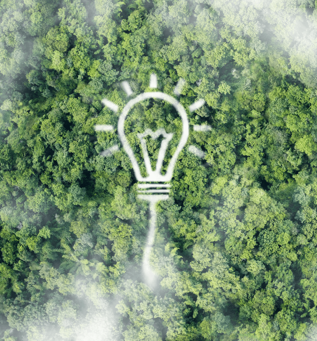 Innovación con impacto en el planeta​ BioD