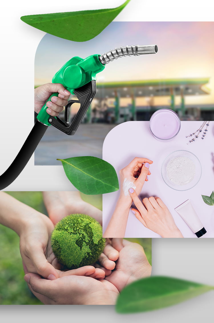 Banner Bio Negocios BioD