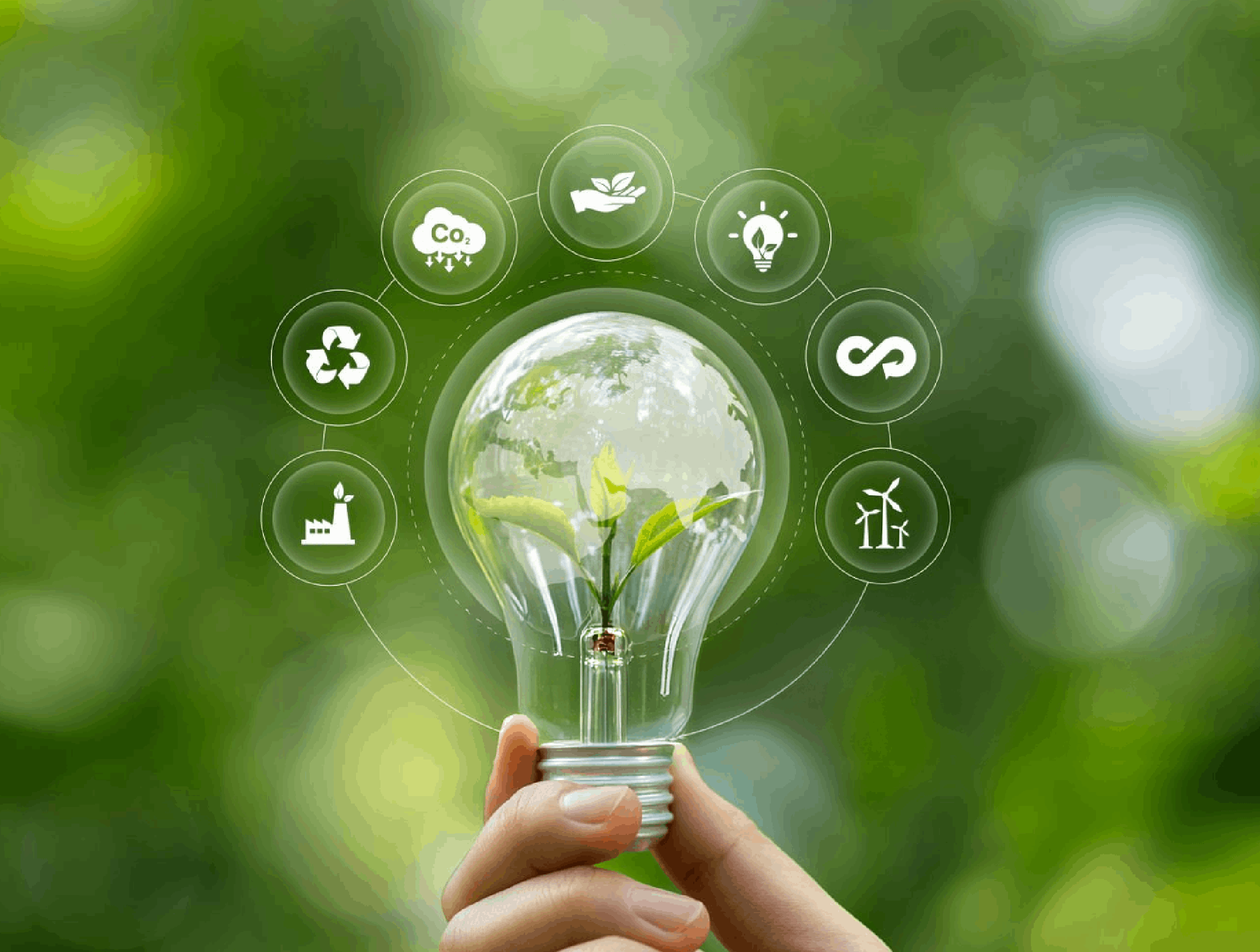 Innovación para acelerar la transición hacia una economía baja en carbono BioD