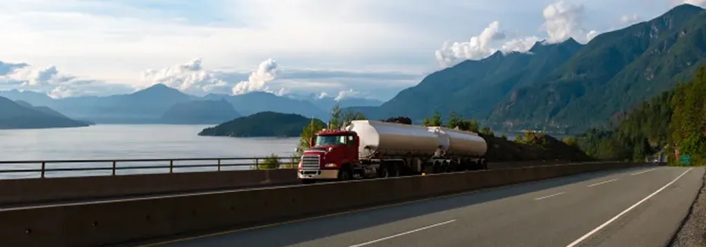 Transporte y distribución: