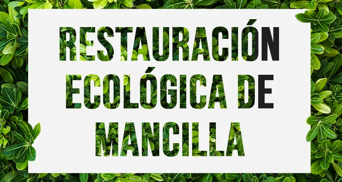 Together for a Greener and More Sustainable Future